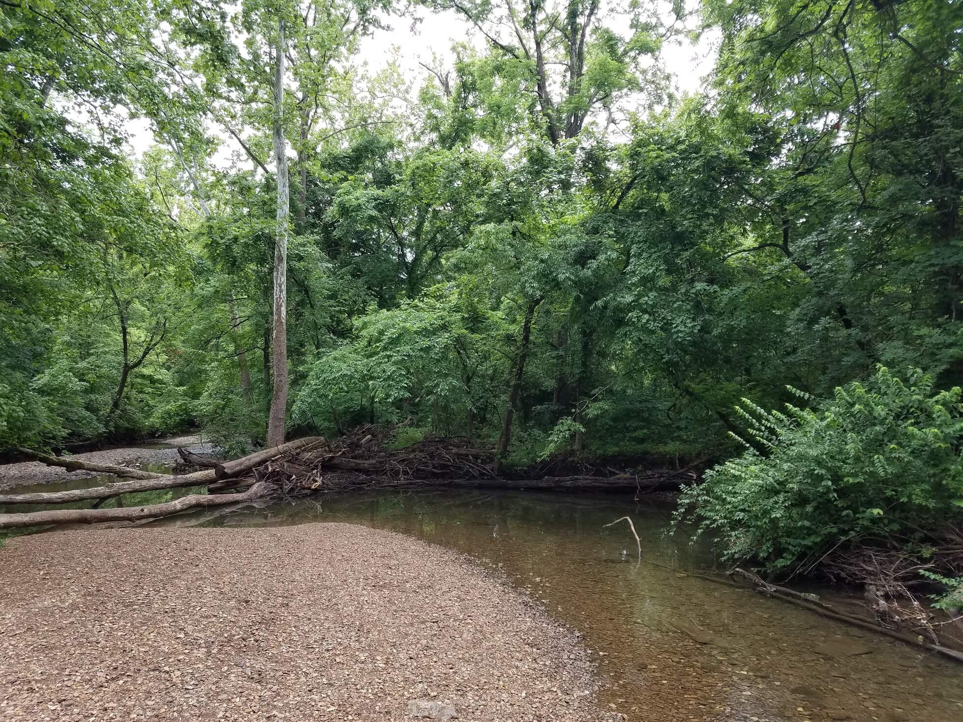 Jackson Creek Trail. Olcott Park to Sherwood Oaks Park