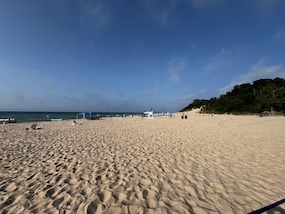 Indiana Dunes State Park