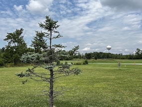 Lemon Lake County Park