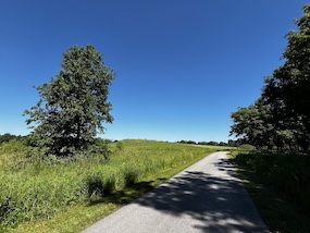 Oak Savannah Trail