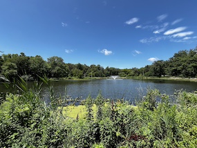 Rogers Lakewood Park